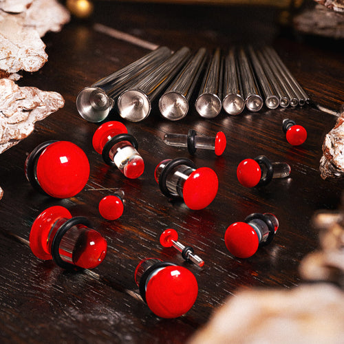 Beginners Ear Stretching Kit for Ears - 22 Piece Pack - Includes Surgical Steel Tapers & Clear - Red Glass Plug / Gauge