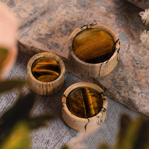 Tiger Eye Stone Inlay Tamarind Wood Plug / Gauge