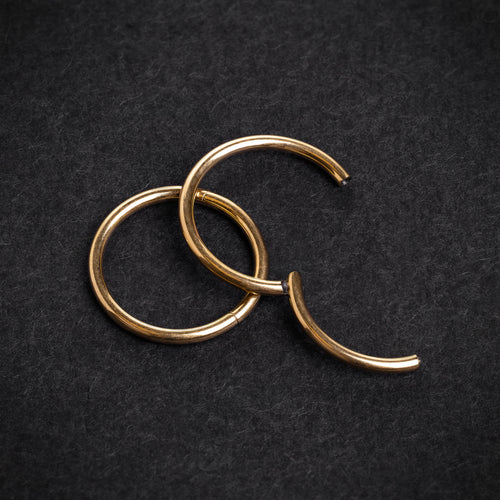 Gold Titanium Hinged Segment Ring / ASTM F-136 Hinged Ring / Nose Piercing Ring / Septum Ring / Sizes 6mm - 12mm
