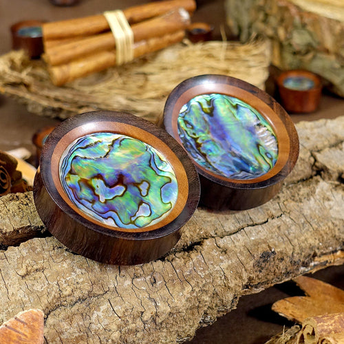 Saba & Abalone Wood Ear Plug / Gauge