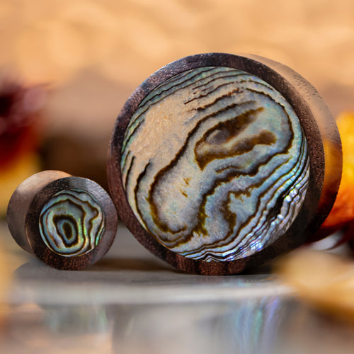 Sono Abalone Wood Ear Plug / Gauge