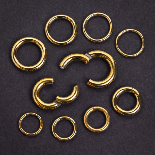 Gold G23 Titanium Hinged Segment Hoop Ring - Septum Clicker