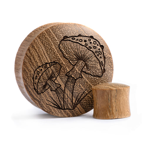 Pilzplug / gauge - Teakholz | Konvexe Doppelaufgeweitet