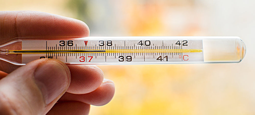 A close up of a persons hand holding a thermometer outside
