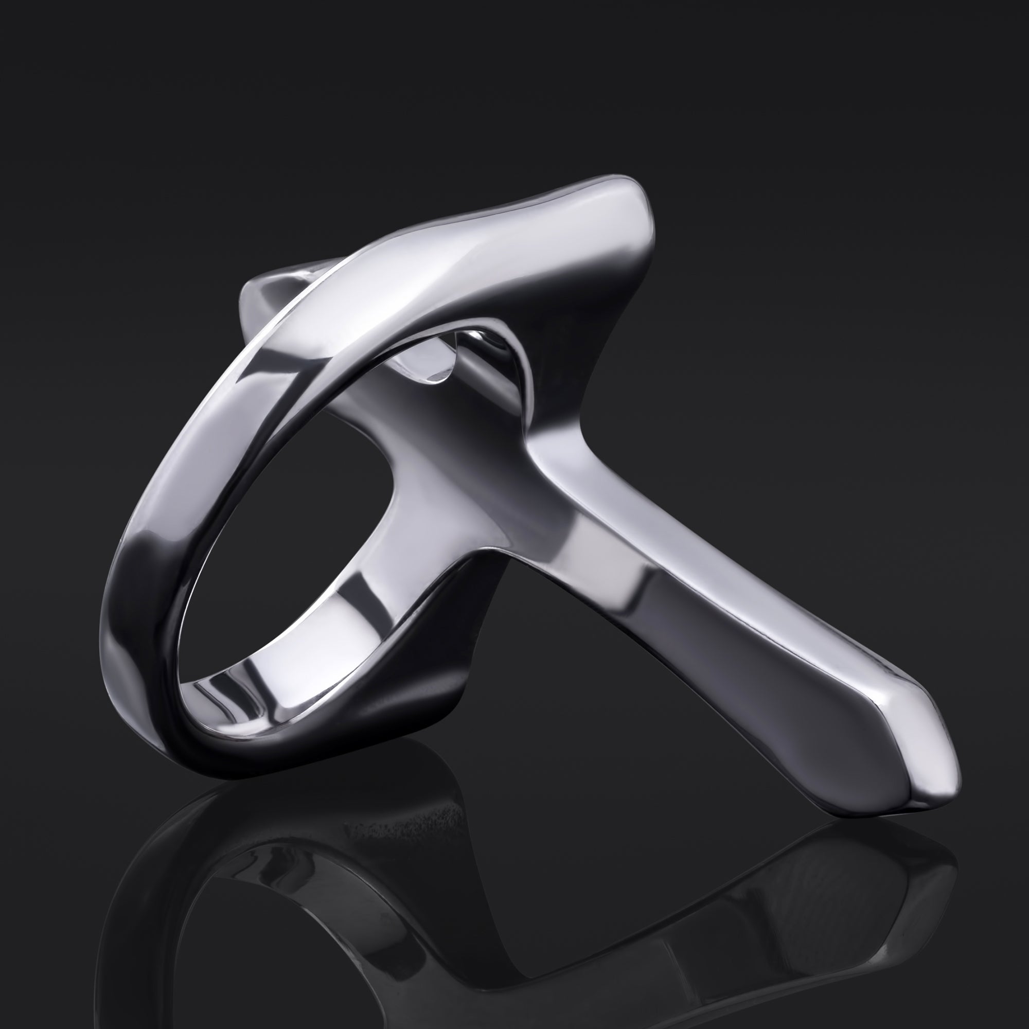 Stud Earrings, Silver, Skull Design, Titanium - Pair