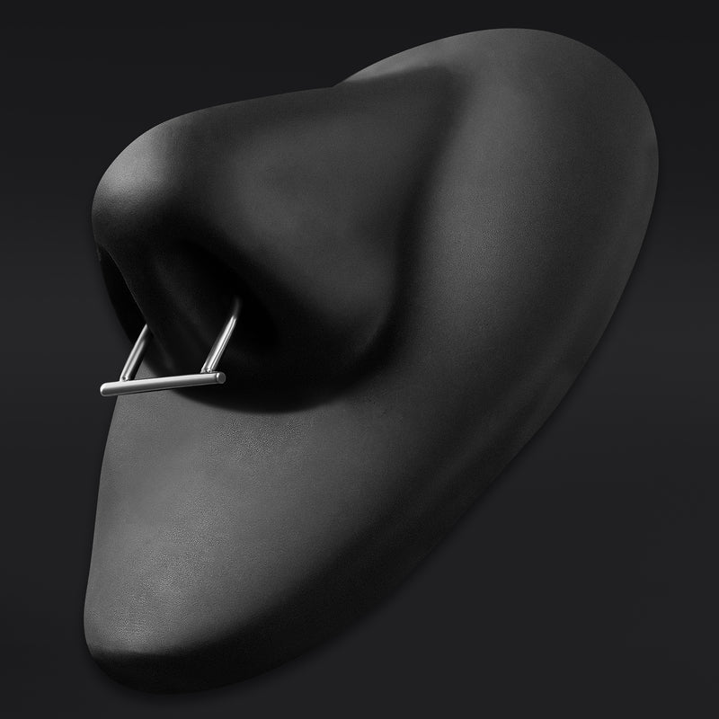 Clicker pour septum, argent, barre droite, titane ASTM F136