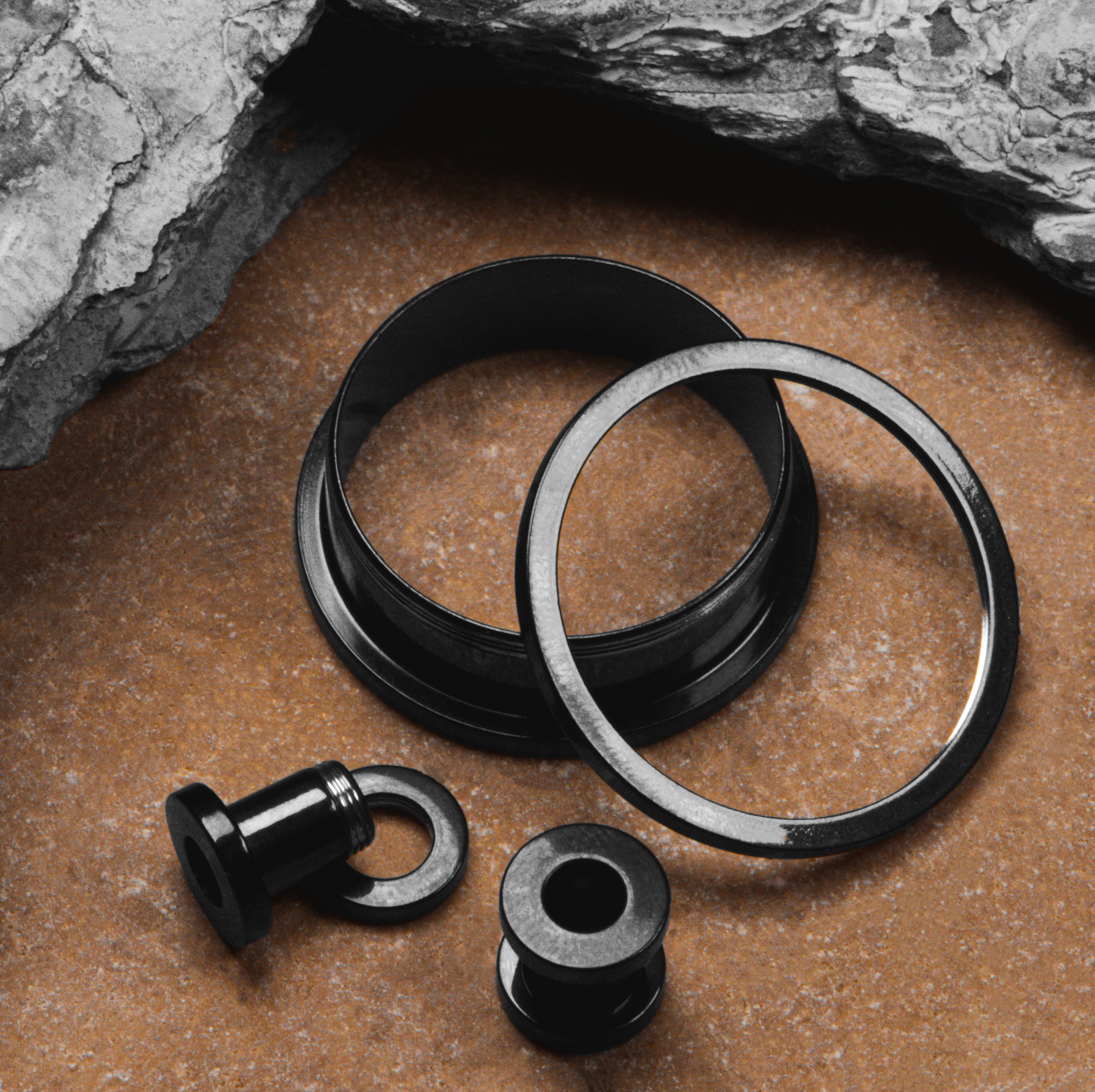 Black Screwback Stainless Steel Ear Tunnel