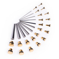Kit d'étirement d'oreille débutant, Taper en acier chirurgical & Plug / Gauge en acier doré - 33 pièces