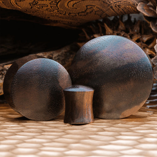 Black Ebony Convex Wood Ear Plug / Gauge