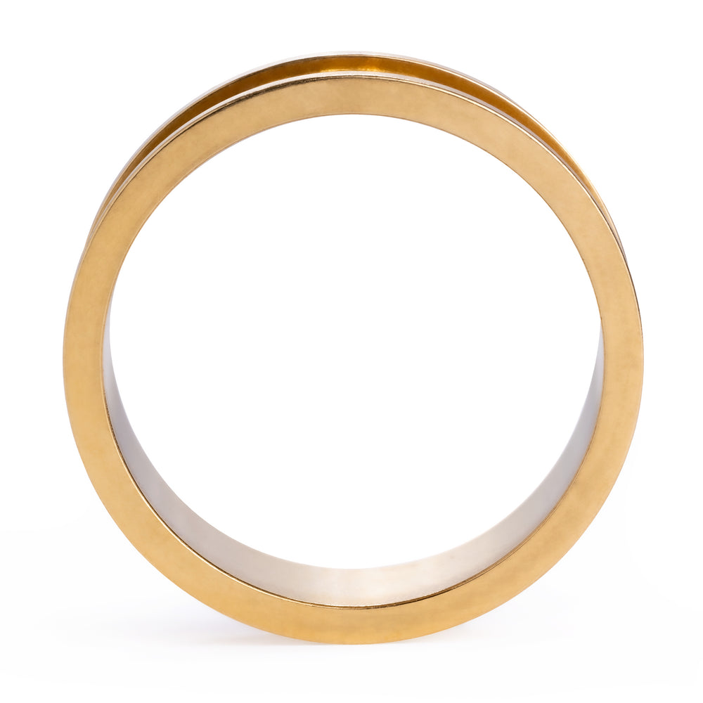 CustomPlugs-GoldSteelScrewbackTunnel_Plug_GaugeFront