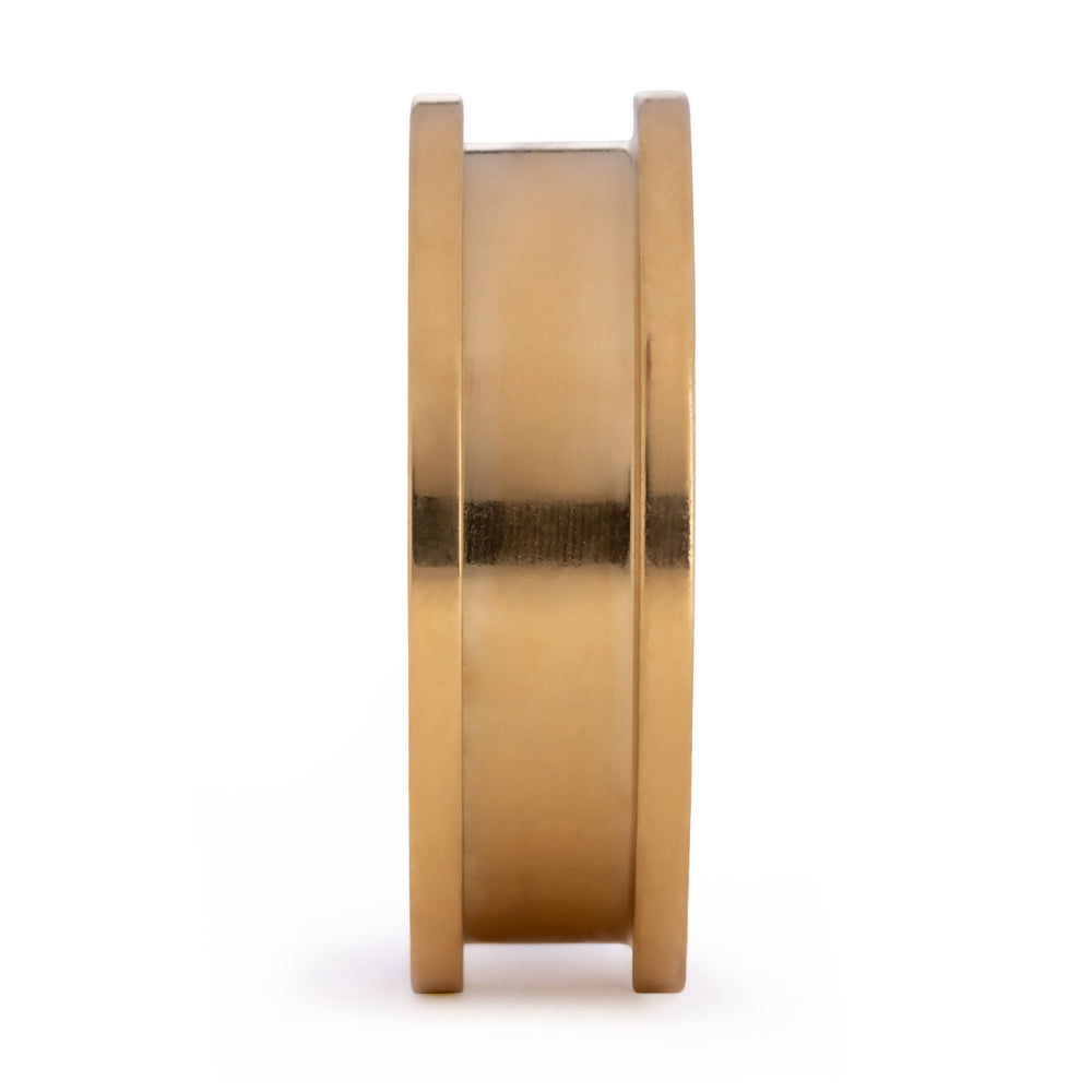 CustomPlugs-GoldSteelScrewbackTunnel_Plug_GaugeSide