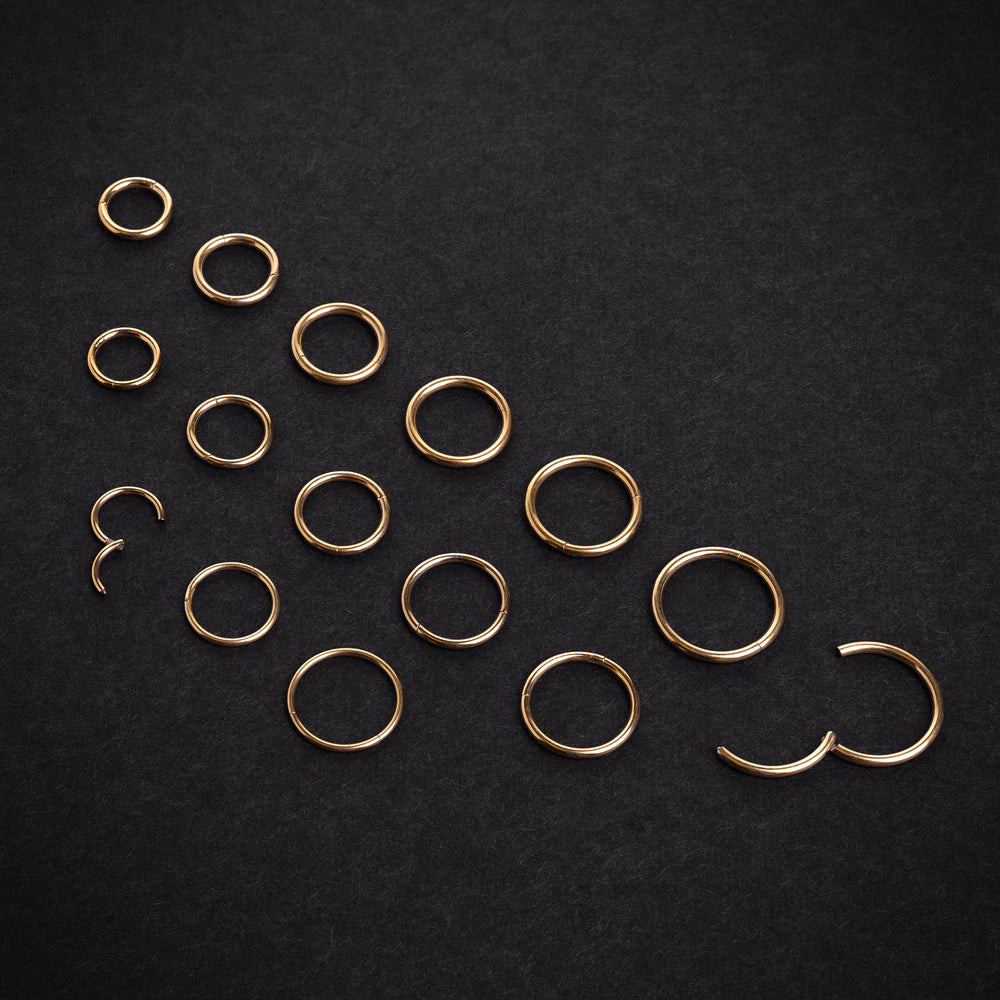 Gold Titanium Hinged Segment Ring / ASTM F-136 Hinged Ring / Nose Piercing Ring / Septum Ring / Sizes 6mm - 12mm - Nose piercing ring for Piercings - in 6mm - 12mm
