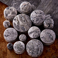 Picasso Jasper Stone Plug / Gauge