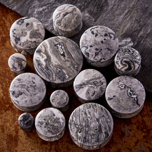 Picasso Jasper Stone Plug / Gauge