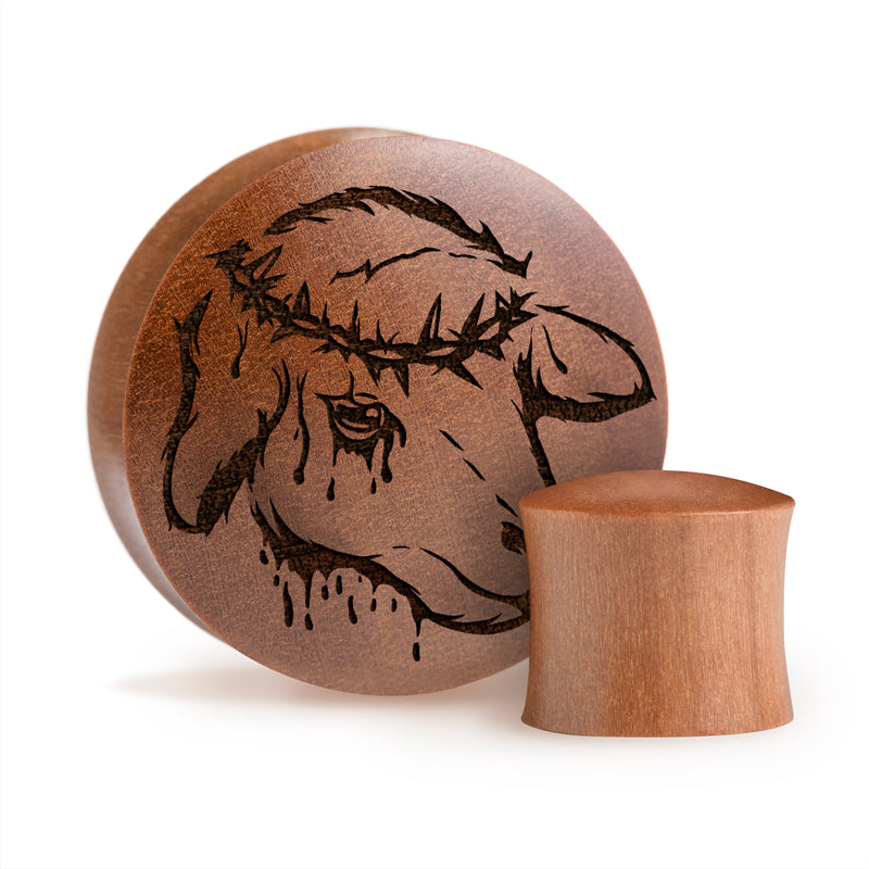Plug / Gauge Agneau sacrificiel - Bois de Saba | Convexe double évasé