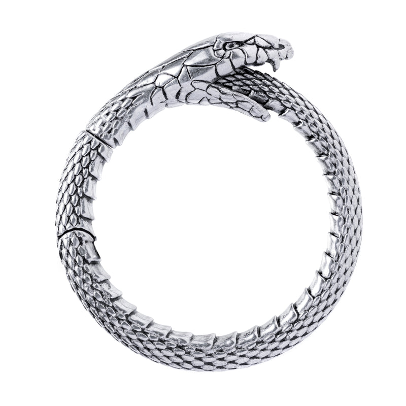 Poids d'oreille serpent en acier argenté - Paire