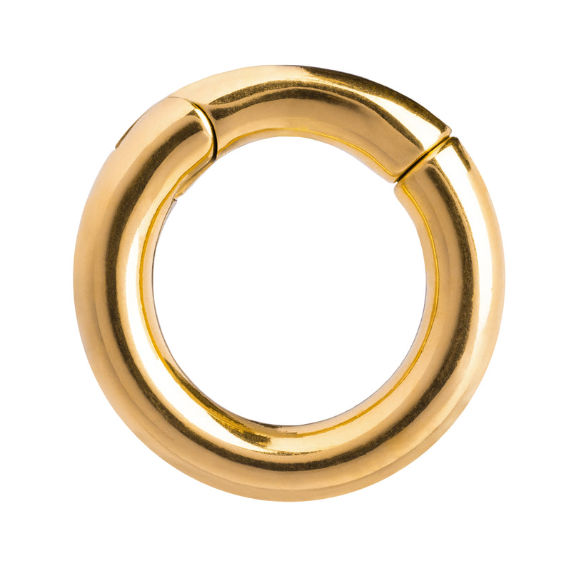 Poids d'oreille circulaires en acier doré - Paire