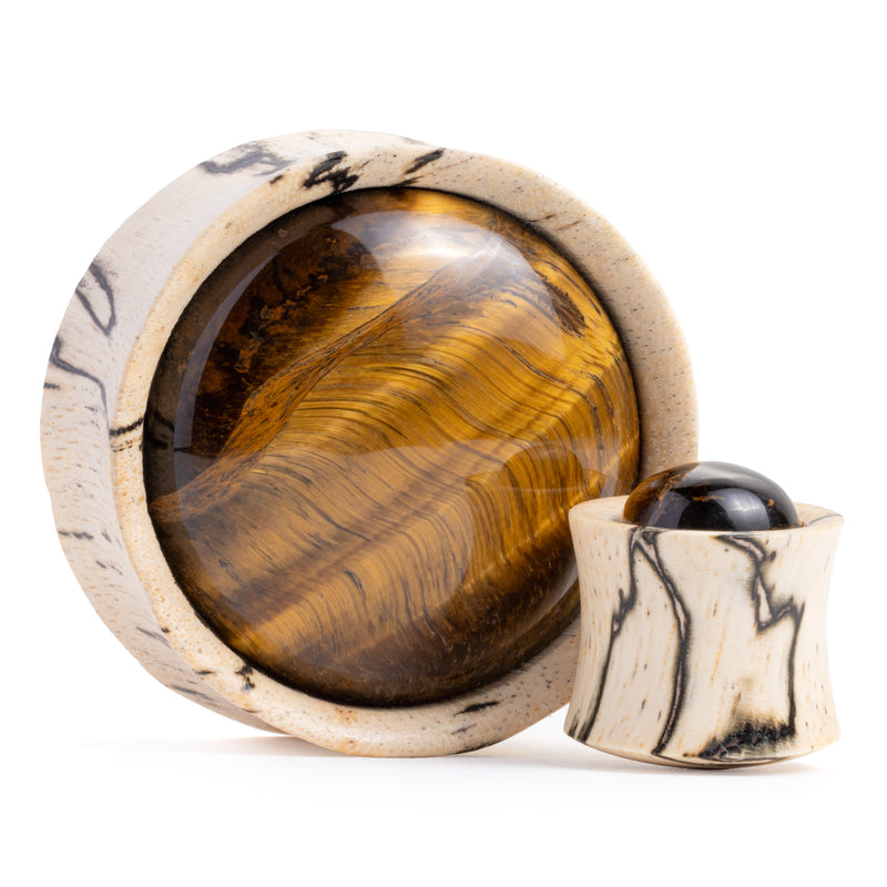 Plug / Gauge en bois de tamarin incrusté de pierre œil de tigre