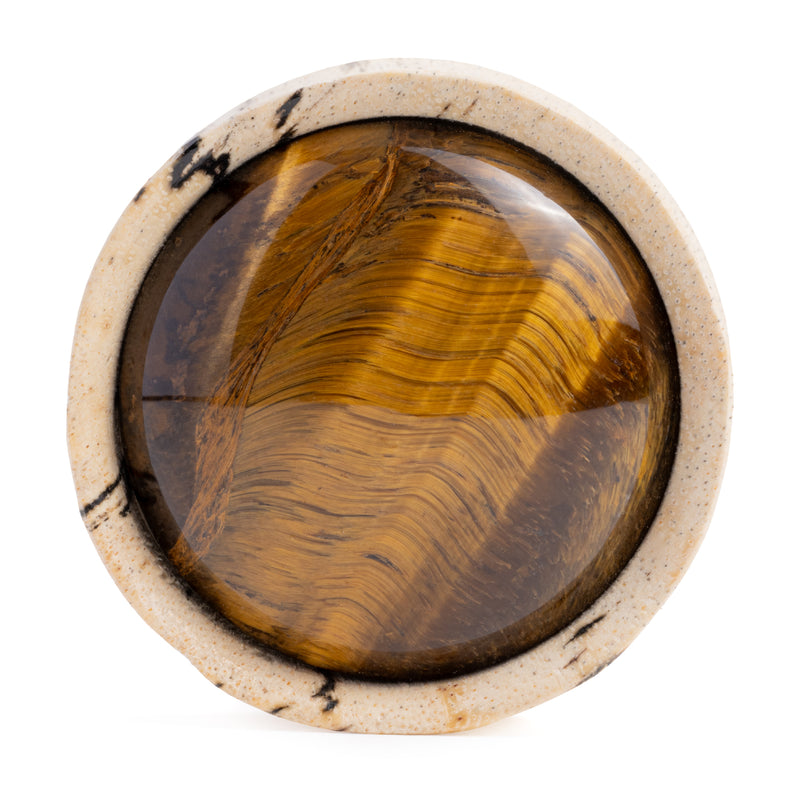 Plug / Gauge en bois de tamarin incrusté de pierre œil de tigre