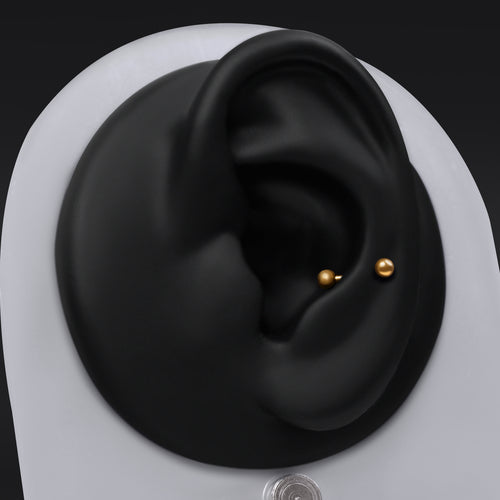 Snug Piercing Bar, Gold, ASTM F-136 Titanium, Internally Threaded