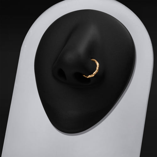 Septum-Clicker, Silber, Gedrehte Dornen, ASTM F136 Titan