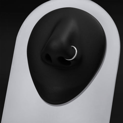 Segmentring, Silber, ASTM F136 Titan