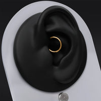 Daith Segment Ring, Gold, ASTM F136 Titanium