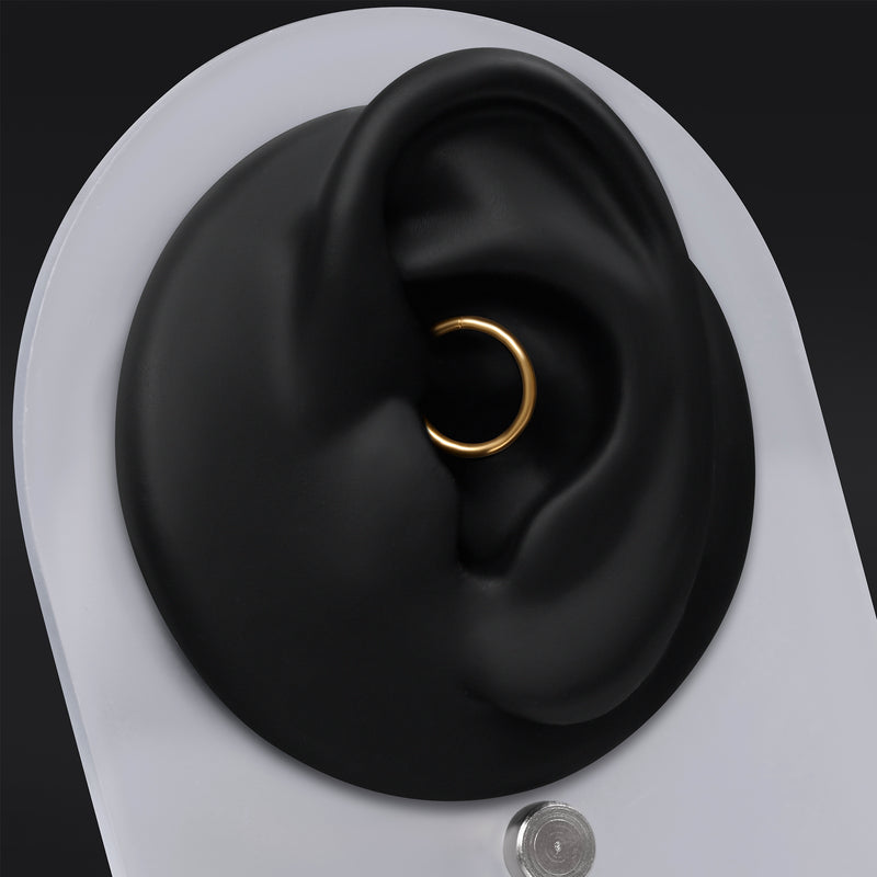 Daith Segment Ring, Gold, ASTM F136 Titanium