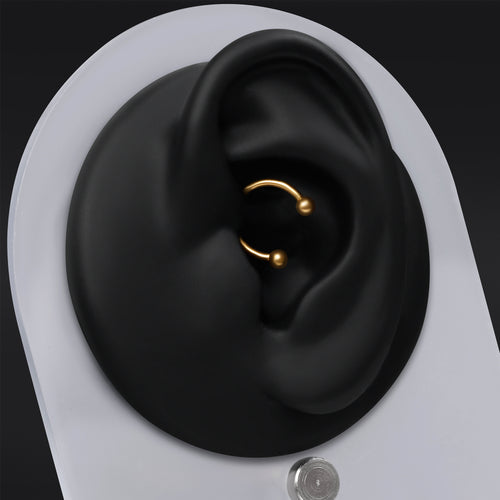 Horseshoe Daith Jewellery, Gold, Internally Threaded, Titanium