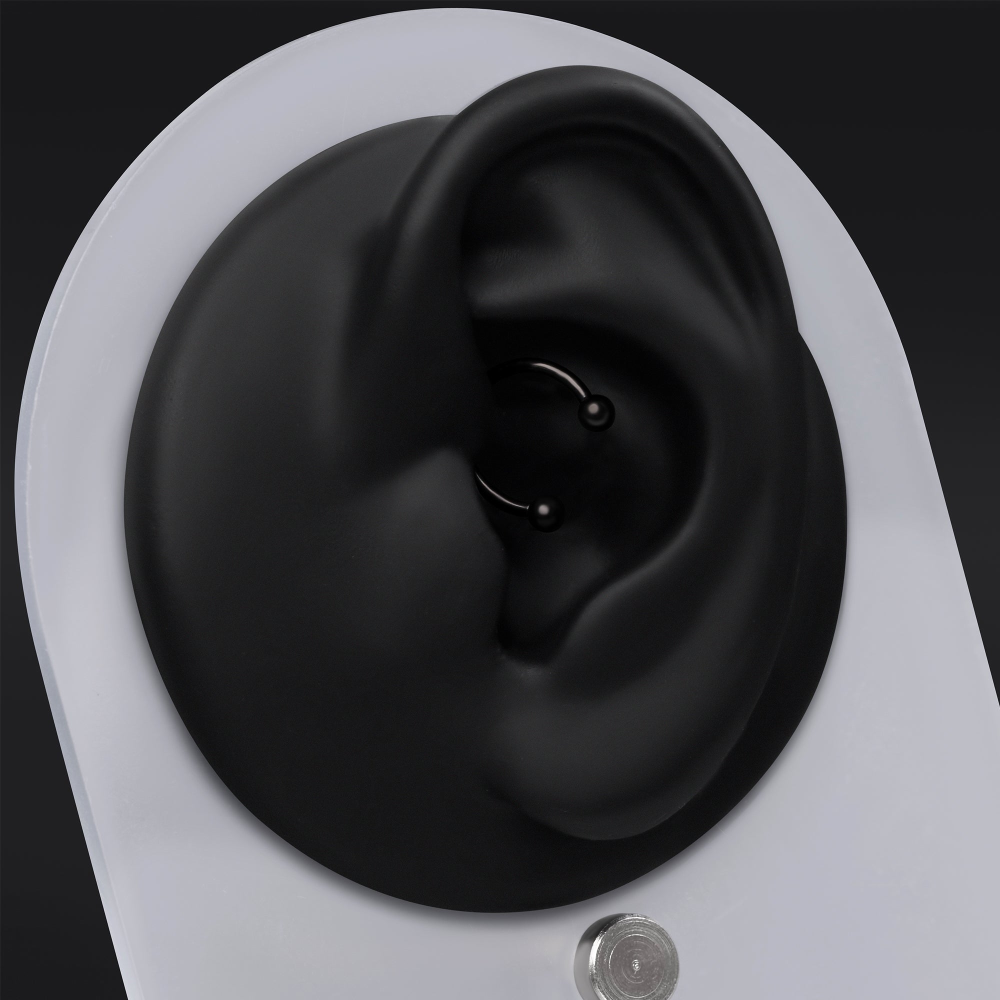 Horseshoe Daith Jewellery, Black, Internally Threaded, Titanium