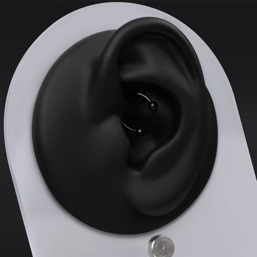 Horseshoe Daith Jewellery, Black, Internally Threaded, Titanium