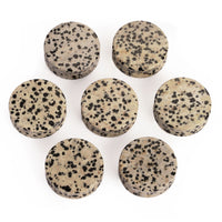 Plug / Gauge en pierre de jaspe dalmatien