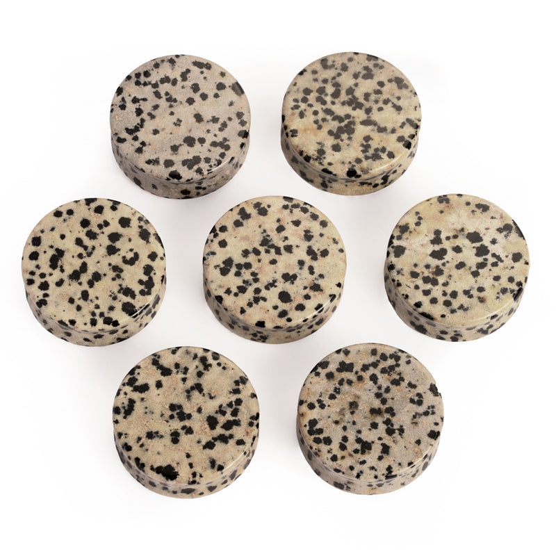 Plug / Gauge en pierre de jaspe dalmatien