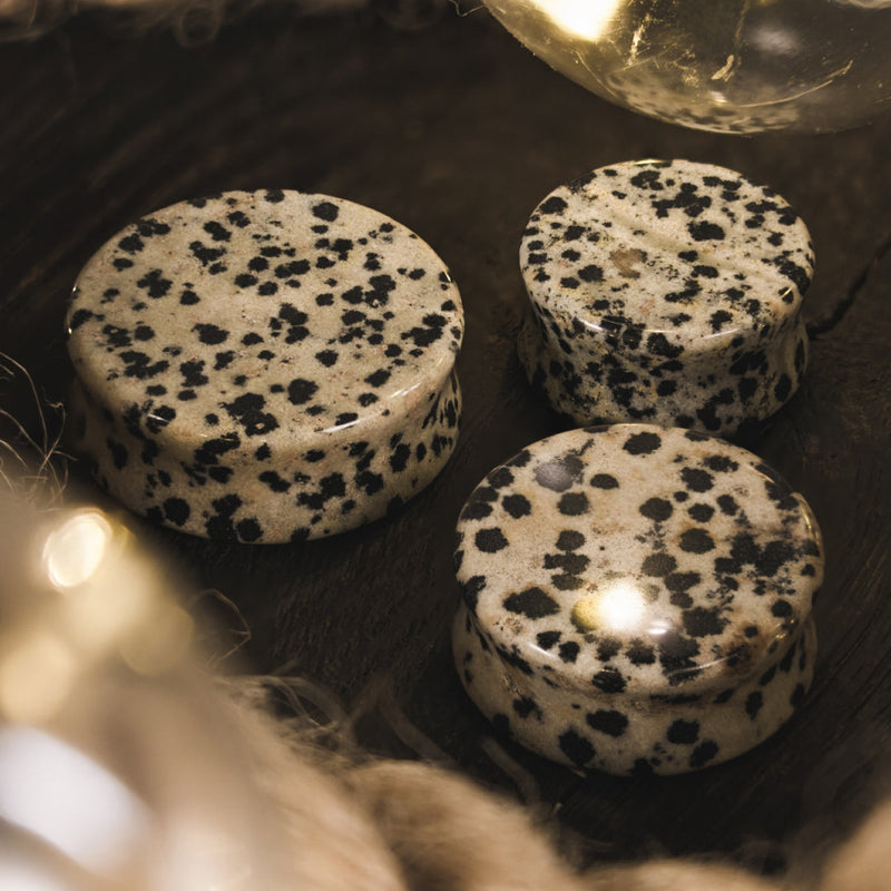 Plug / Gauge en pierre de jaspe dalmatien