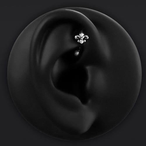 Vertical Labret, Silber, Spinne, Innengewinde, Titan