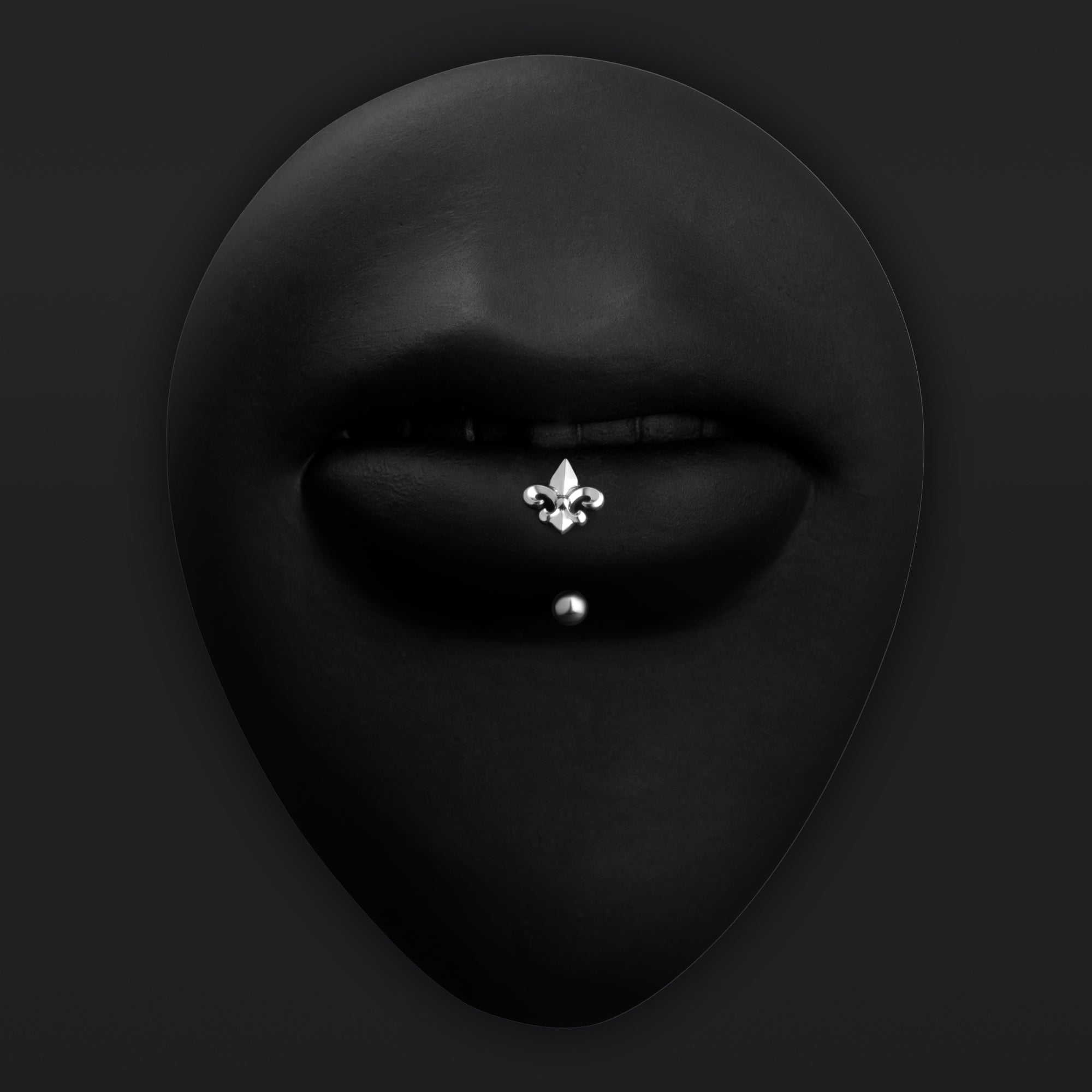 Vertical Labret, Silber, Spinne, Innengewinde, Titan