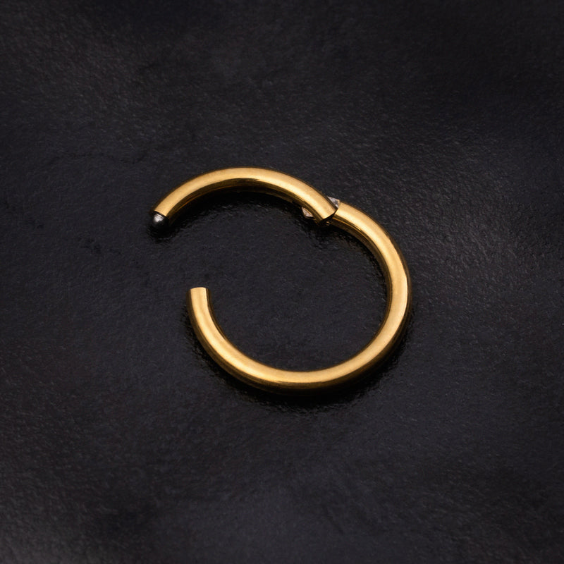Helix Segment Ring, Gold, ASTM F136 Titanium