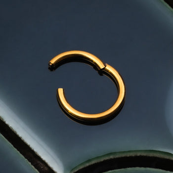 Segmentring, Silber, ASTM F136 Titan
