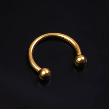 Horseshoe Daith Jewellery, Gold, Internally Threaded, Titanium