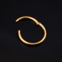 Daith Segment Ring, Gold, ASTM F136 Titanium