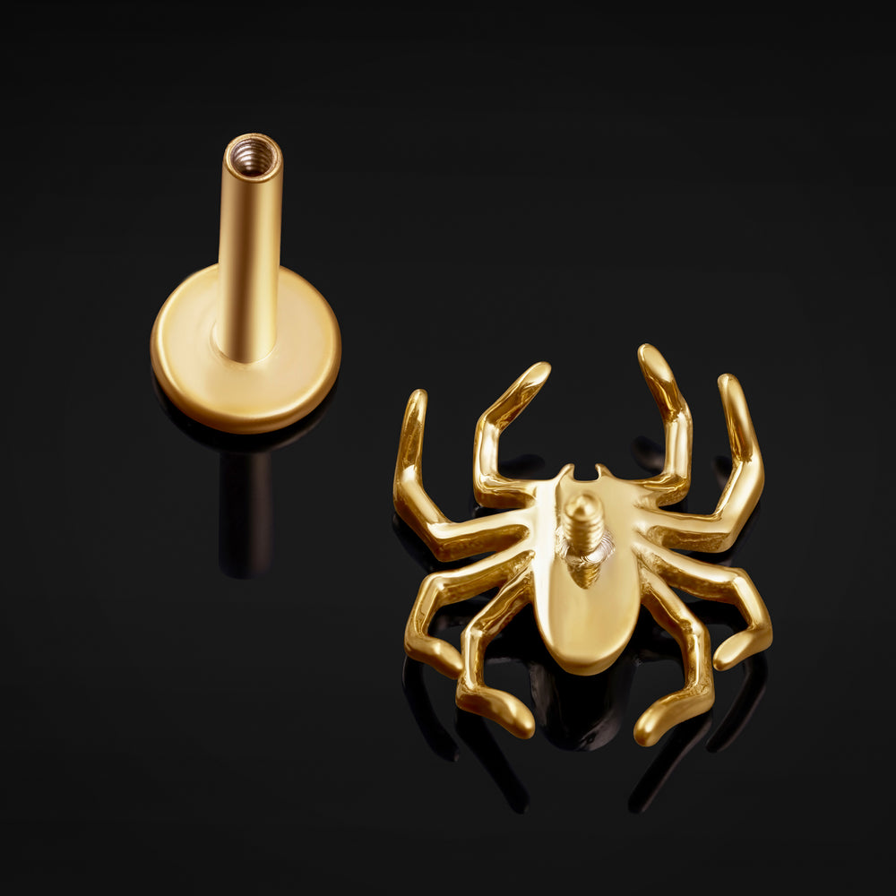 Titanium Internally Threaded Gold Spider Labret Stud 1.2mm Gauge - Internally Threaded Titanium Gold Spider Labret Piercing - 8mm/10mm Internally Threaded / Alternative Jewellery / Lip / Nose / Ear