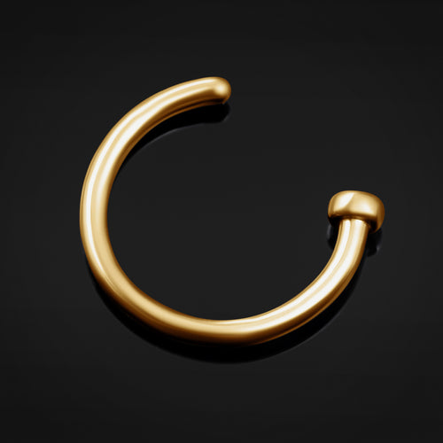 Nose Hoop - Gold - (Titanium)
