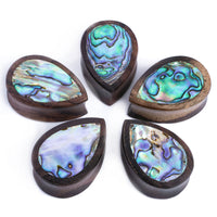 Plug en forme de goutte en nacre Sono / Gauge - Variation