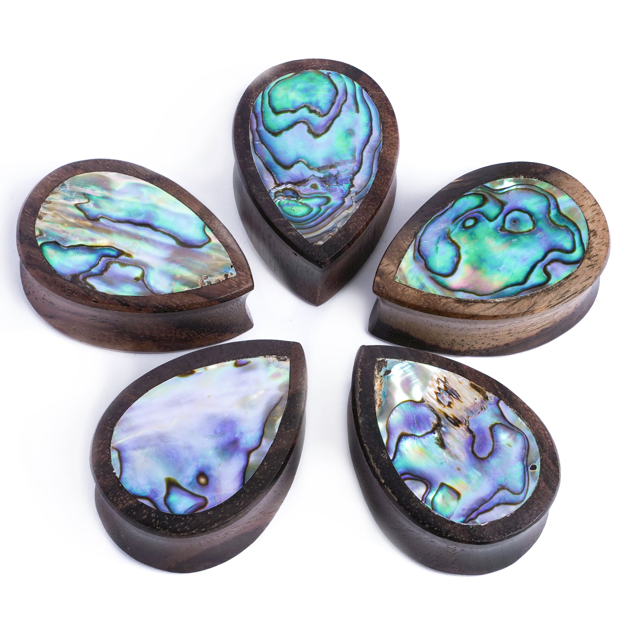 Abalone teardrop plugs hotsell
