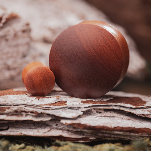 Brown Saba Convex Wood Ear Plug / Gauge