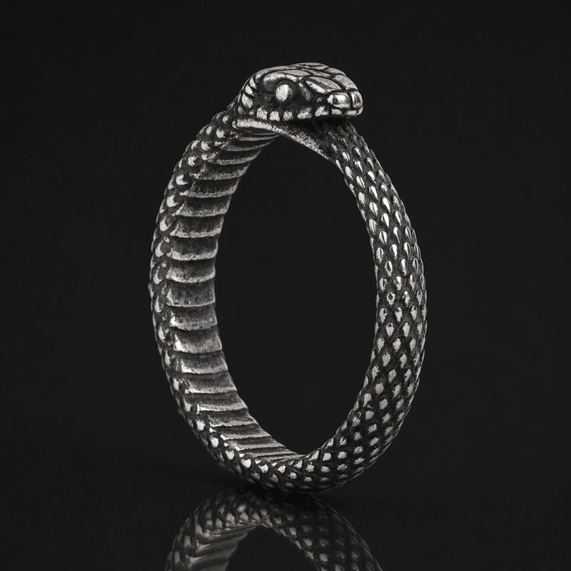 Bague serpent Ouroboros argentée