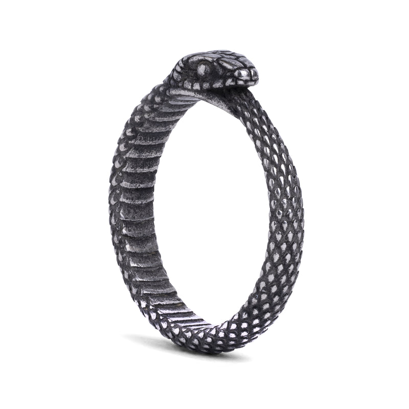 Bague serpent Ouroboros argentée