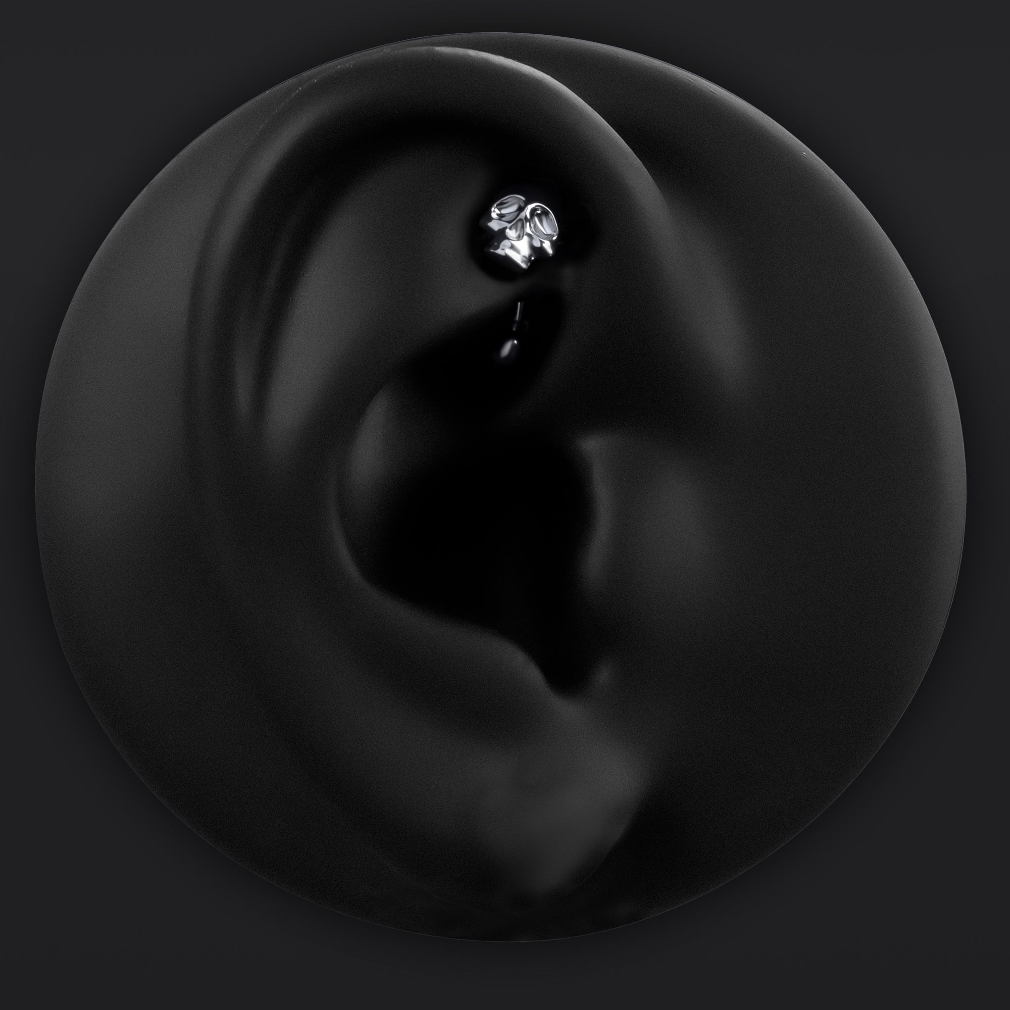 Rook Piercing Jewelery, Silver, Skull, Threadless, Titanium