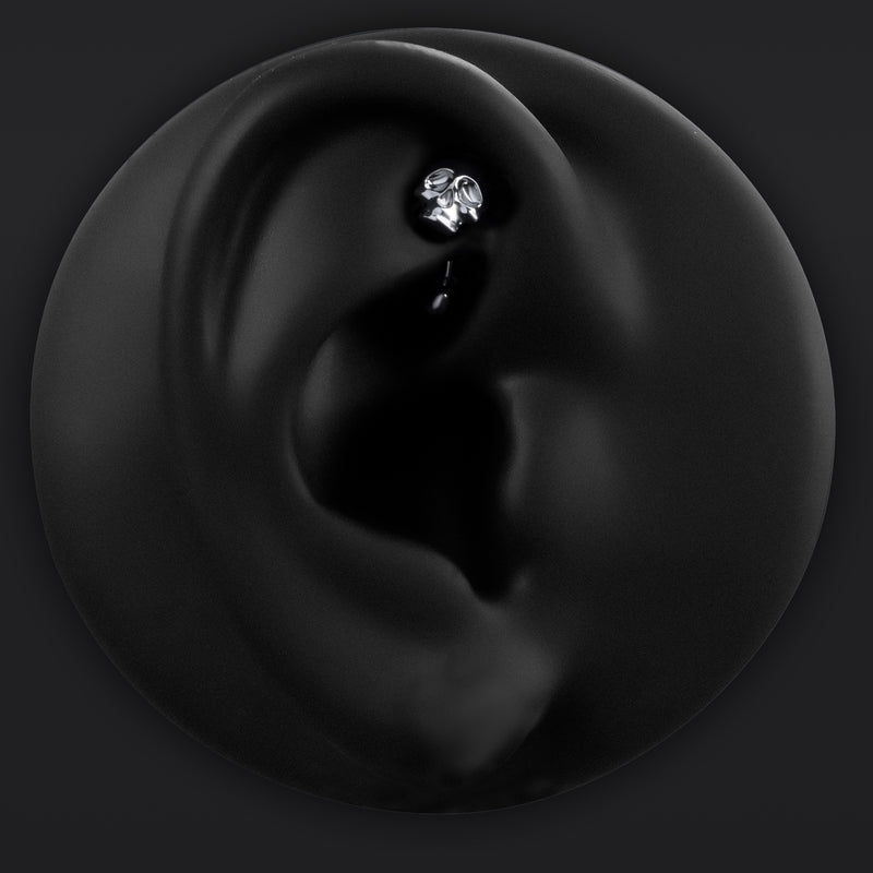 Bijou de piercing rook, argent, crâne, threadless, titane