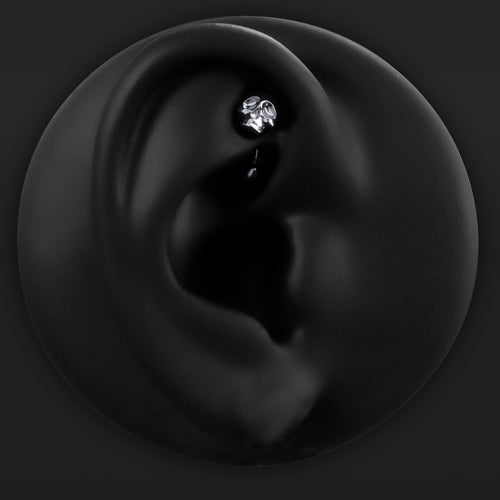 Vertical Labret, Silber, Spinne, Innengewinde, Titan